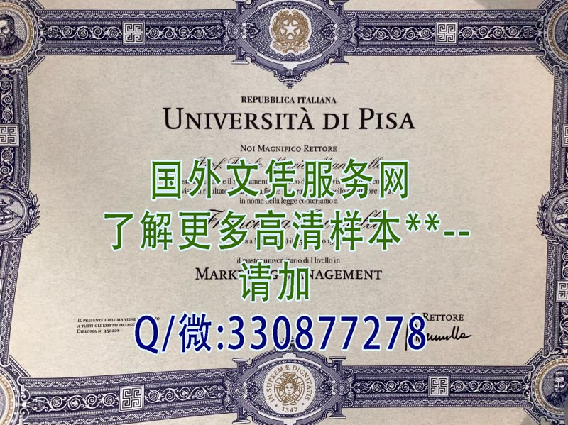 意大利比萨大学毕业证样本案例-图片